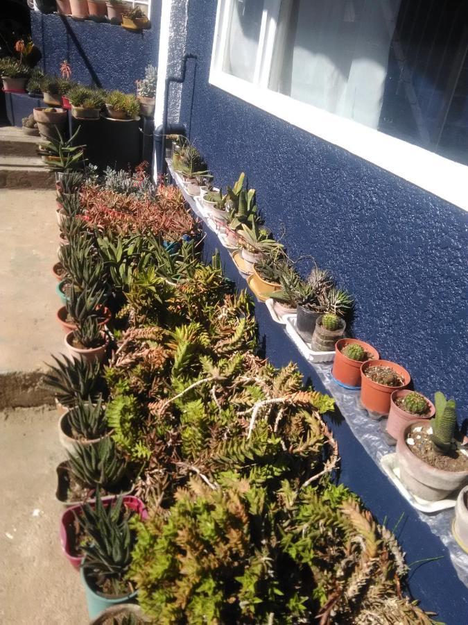 Havilah House باغيو المظهر الخارجي الصورة