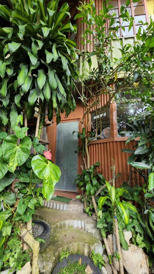 Havilah House باغيو المظهر الخارجي الصورة