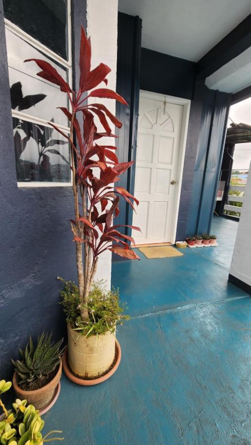 Havilah House باغيو المظهر الخارجي الصورة