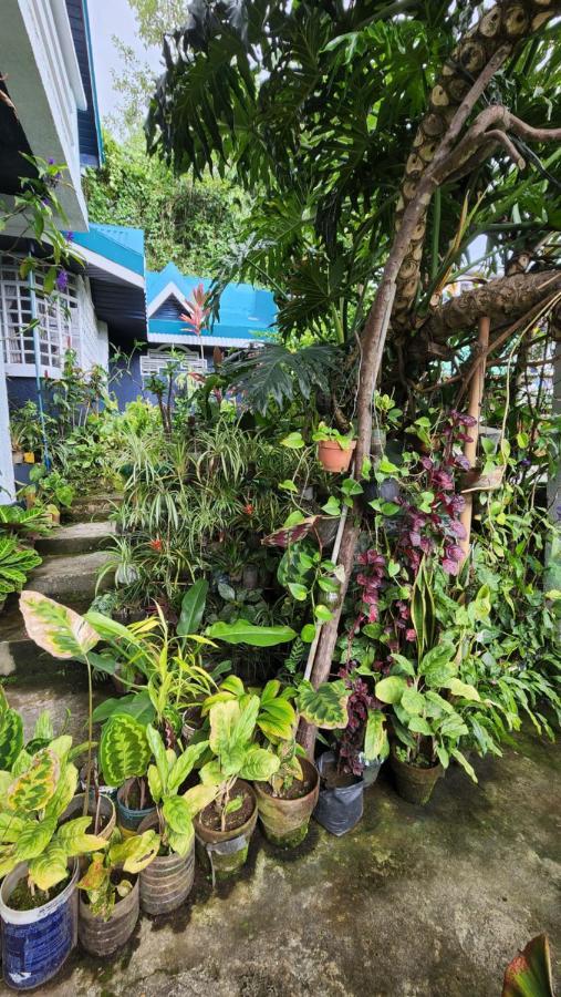 Havilah House باغيو المظهر الخارجي الصورة